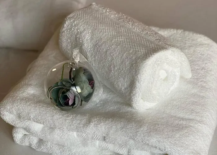 דירה Mozart House - Spacious Luxury - Heart Of The טיראנה